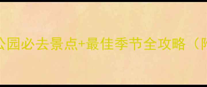 图片 最新版武夷山国家森林公园必去景点+最佳季节全攻略（附避坑指南+亲子玩法）2