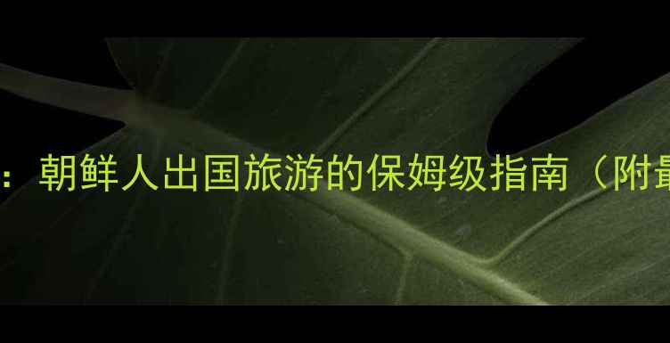 图片 朝鲜旅游签证全攻略：朝鲜人出国旅游的保姆级指南（附最新政策+注意事项）