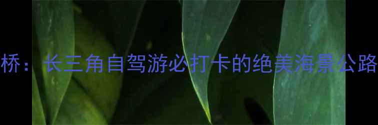 图片 杭州湾跨海大桥+西堠门大桥：长三角自驾游必打卡的绝美海景公路与亲子乐园（附全攻略）1