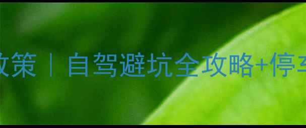 杭州西湖景区最新限行政策自驾避坑全攻略停车指南附实时交通图