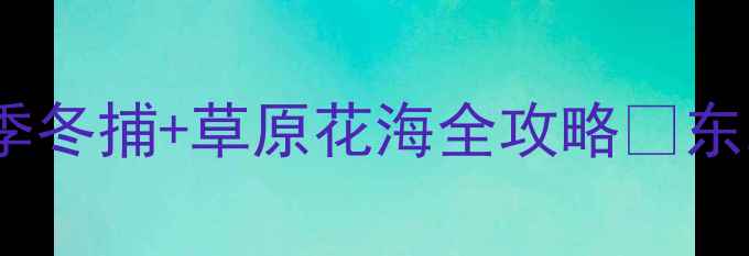 松原自驾游必去5大秘境冬季冬捕草原花海全攻略东北自驾游查干湖冬捕草原旅行