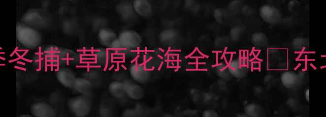 图片 松原自驾游必去5大秘境！冬季冬捕+草原花海全攻略✨东北自驾游查干湖冬捕草原旅行2