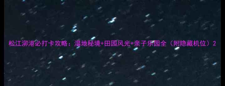 图片 松江泖港必打卡攻略：湿地秘境+田园风光+亲子乐园全（附隐藏机位）2
