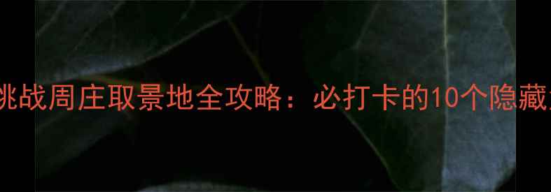 极限挑战周庄取景地全攻略必打卡的10个隐藏角落