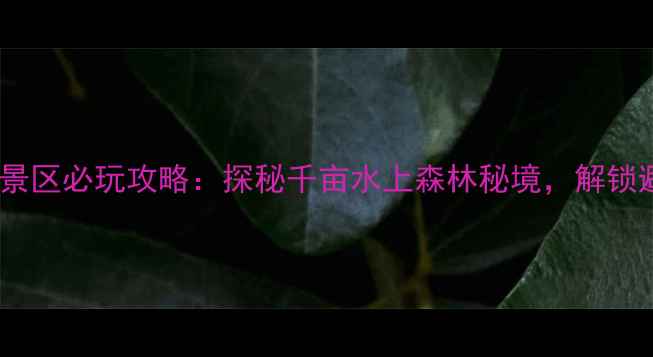 武义石鹅湖景区必玩攻略探秘千亩水上森林秘境解锁避暑新体验