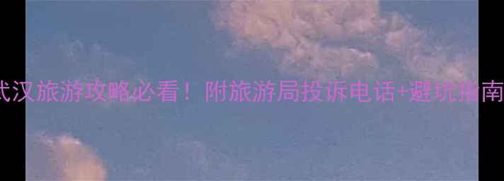 图片 武汉旅游攻略必看！附旅游局投诉电话+避坑指南2