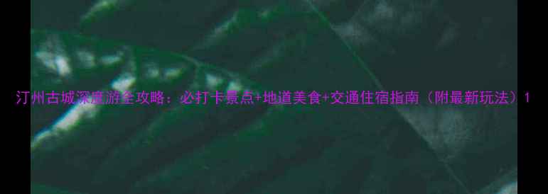 图片 汀州古城深度游全攻略：必打卡景点+地道美食+交通住宿指南（附最新玩法）1