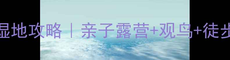 江苏东台条子泥湿地攻略亲子露营观鸟徒步全指南