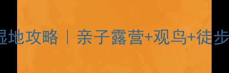 图片 江苏东台条子泥湿地攻略｜亲子露营+观鸟+徒步全指南🌿🚶♀️1