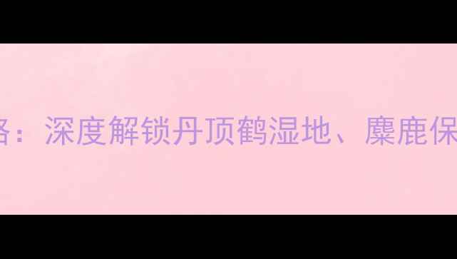 图片 江苏盐城必去景点全攻略：深度解锁丹顶鹤湿地、麋鹿保护区等10大网红打卡地1