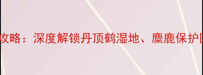 图片 江苏盐城必去景点全攻略：深度解锁丹顶鹤湿地、麋鹿保护区等10大网红打卡地2