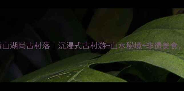 图片 江西隐藏秘境！青山湖尚古村落｜沉浸式古村游+山水秘境+非遗美食，打卡攻略必收！1