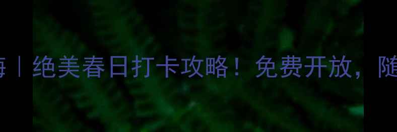 图片 沈阳南京桥油菜花海｜绝美春日打卡攻略！免费开放，随手一拍都是大片！2