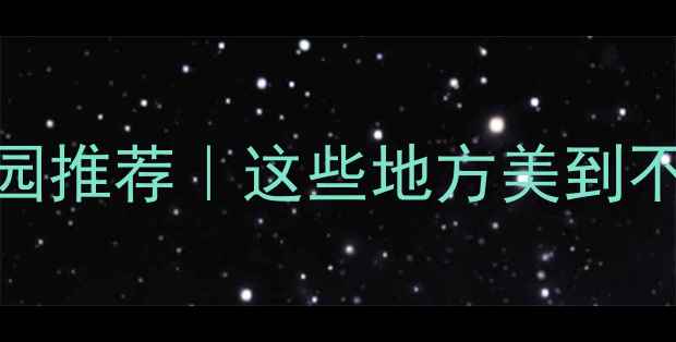 图片 沈阳夜游公园推荐｜这些地方美到不想回家！✨