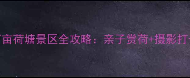 河南夏季必游万亩荷塘景区全攻略亲子赏荷摄影打卡周边美食地图