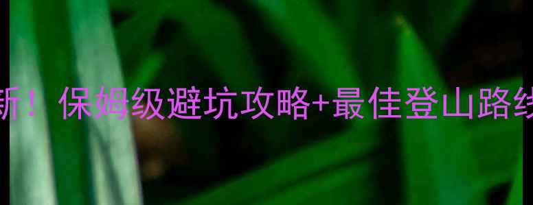泰山门票价格最新保姆级避坑攻略最佳登山路线省时省力省心