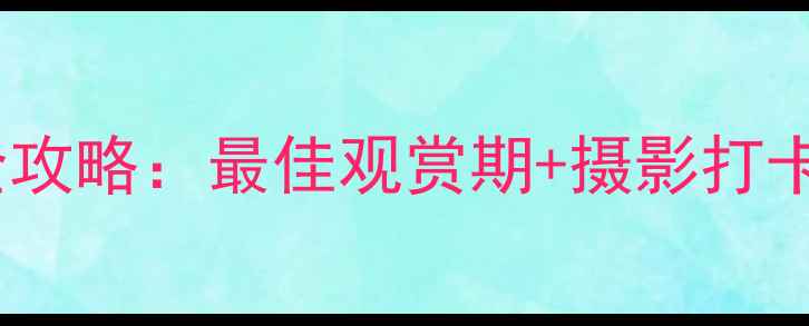 图片 泰州千岛菜花旅游全攻略：最佳观赏期+摄影打卡指南+周边美食推荐