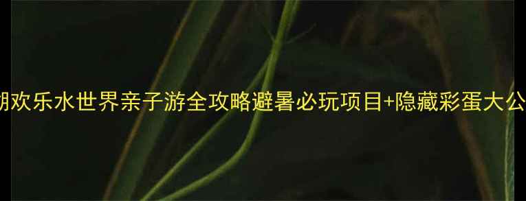 洋沙湖欢乐水世界亲子游全攻略避暑必玩项目隐藏彩蛋大公开