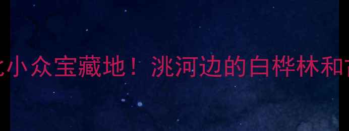 图片 洮南旅游攻略｜东北小众宝藏地！洮河边的白桦林和古战场竟这么出片！