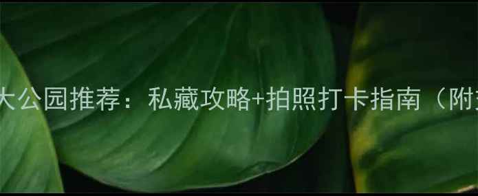 图片 济南必去十大公园推荐：私藏攻略+拍照打卡指南（附交通+门票）