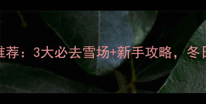 图片 济南滑雪场推荐：3大必去雪场+新手攻略，冬日玩雪全指南