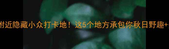 图片 济南黄河附近隐藏小众打卡地！这5个地方承包你秋日野趣+美食攻略2