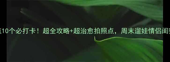 浦东免费景点10个必打卡超全攻略超治愈拍照点周末遛娃情侣闺蜜都超合适