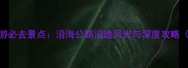 图片 海南环岛自驾游必去景点：沿海公路沿途风光与深度攻略（附最新路况）