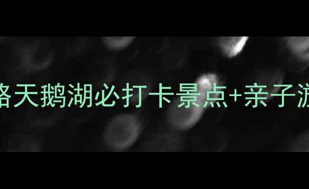 图片 涞水天鹅湖景区四季玩法全攻略天鹅湖必打卡景点+亲子游摄影露营指南（附交通住宿）