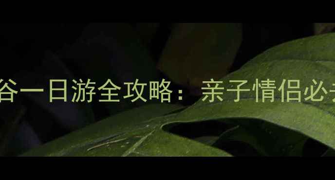 深圳东部华侨城大峡谷一日游全攻略亲子情侣必去路线最新门票优惠