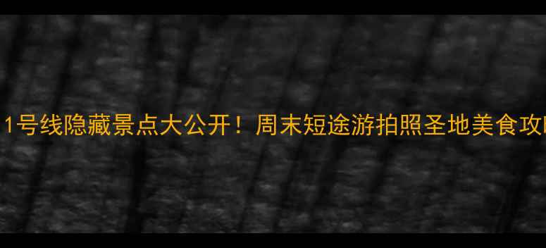 深圳地铁11号线隐藏景点大公开周末短途游拍照圣地美食攻略全攻略