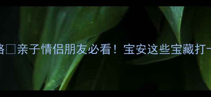 深圳宝安周末游攻略亲子情侣朋友必看宝安这些宝藏打卡点你打卡过几个