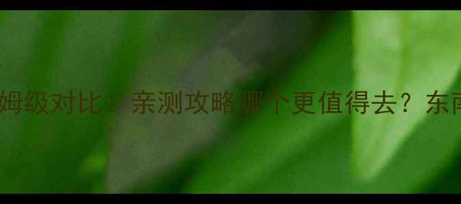 图片 清迈vs芭提雅保姆级对比！亲测攻略哪个更值得去？东南亚旅行必看！1