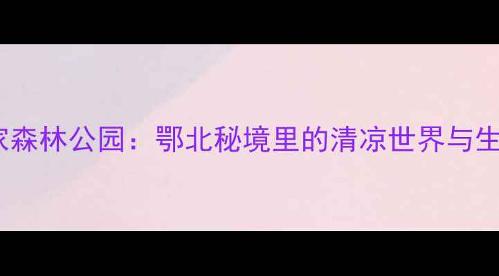 图片 湖北五龙河国家森林公园：鄂北秘境里的清凉世界与生态奇观全攻略1