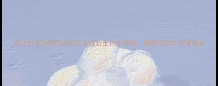 图片 湖北省旅游局投诉电话及旅游维权全攻略：最新渠道与处理指南
