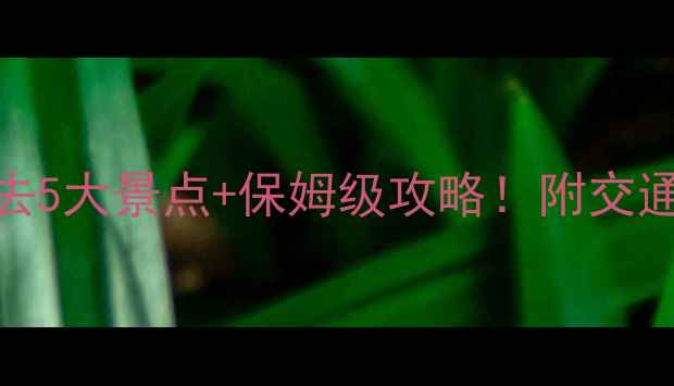 湖南张家界必去5大景点保姆级攻略附交通住宿避坑指南