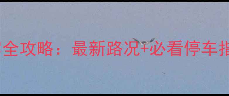 图片 湖南莽山景区自驾全攻略：最新路况+必看停车指南+沿途美食推荐