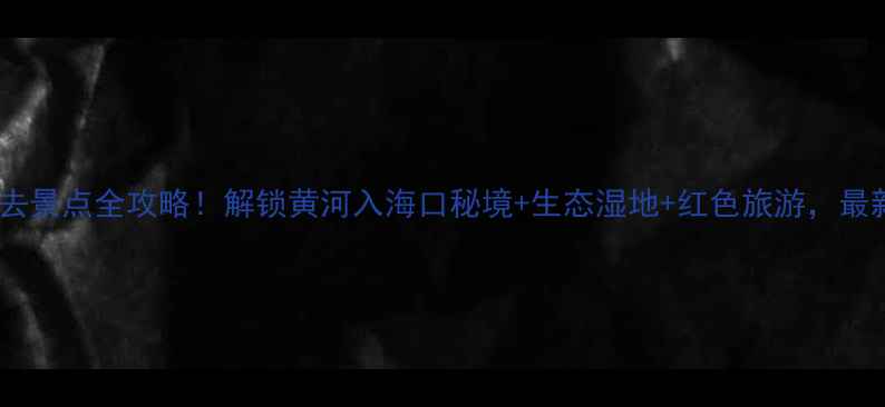 图片 滨州无棣必去景点全攻略！解锁黄河入海口秘境+生态湿地+红色旅游，最新游玩指南2