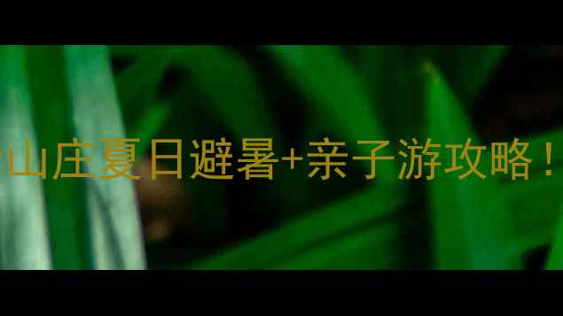 漳州必打卡的5A景区美伦山庄夏日避暑亲子游攻略人均200玩转山海秘境