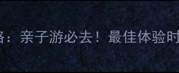 图片 珠海海洋王国潜水全攻略：亲子游必去！最佳体验时间+安全须知+拍照技巧2