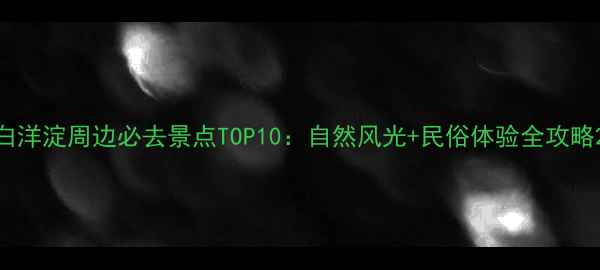 白洋淀周边必去景点TOP10自然风光民俗体验全攻略