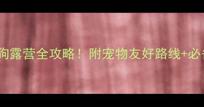 白洋淀景区带宠物遛狗露营全攻略附宠物友好路线必备物品清单最新版