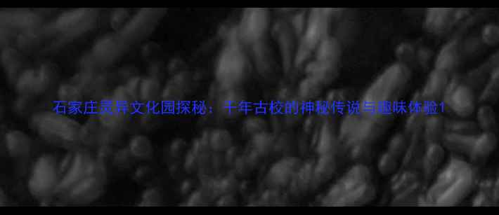 石家庄灵异文化园探秘千年古校的神秘传说与趣味体验