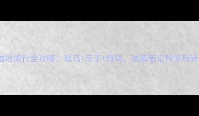 石首天鹅洲湿地旅行全攻略观鸟亲子自驾这篇笔记帮你玩转长江湿地