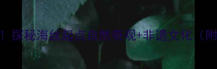 图片 福鼎十大必打卡景点全！探秘海丝起点自然奇观+非遗文化（附最新门票+交通路线）1