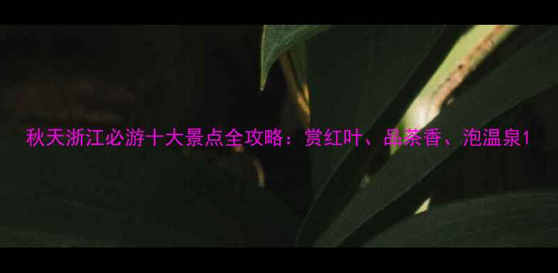 图片 秋天浙江必游十大景点全攻略：赏红叶、品茶香、泡温泉1