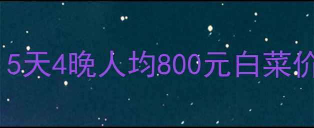 图片 纽约穷游住宿攻略：5天4晚人均800元白菜价方案，附免费攻略2