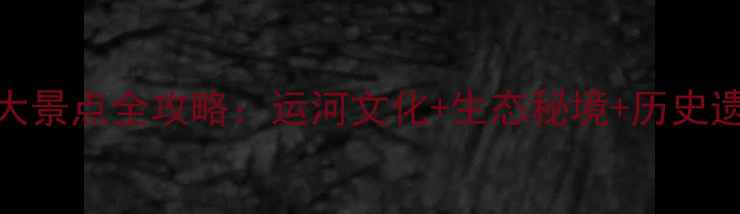 图片 聊城必去十大景点全攻略：运河文化+生态秘境+历史遗迹一次玩透