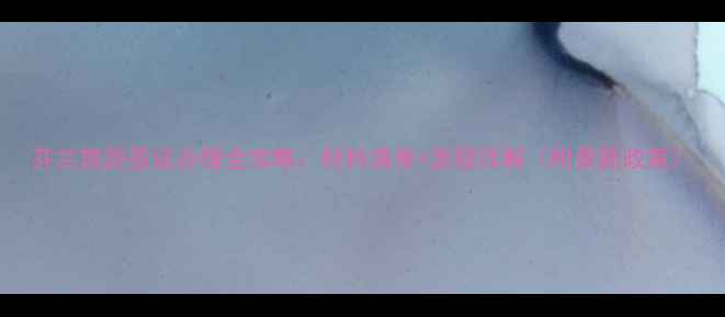 图片 芬兰旅游签证办理全攻略：材料清单+流程详解（附最新政策）