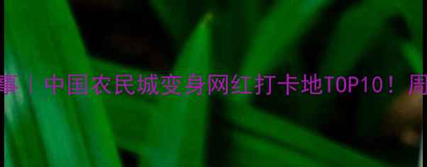 图片 苍南龙港小城故事｜中国农民城变身网红打卡地TOP10！周末遛娃露营攻略